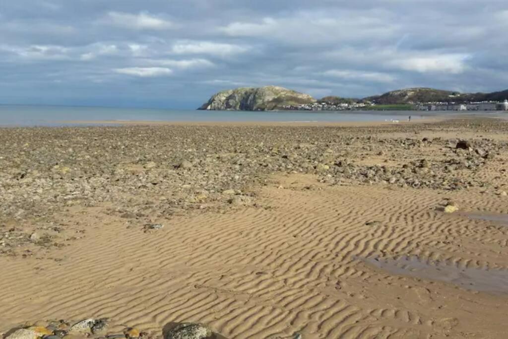 Orme View Dog Friendly Apartment Llandudno Eksteriør billede